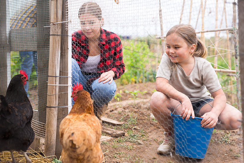 Get Ready for Spring with Homestead Checklist