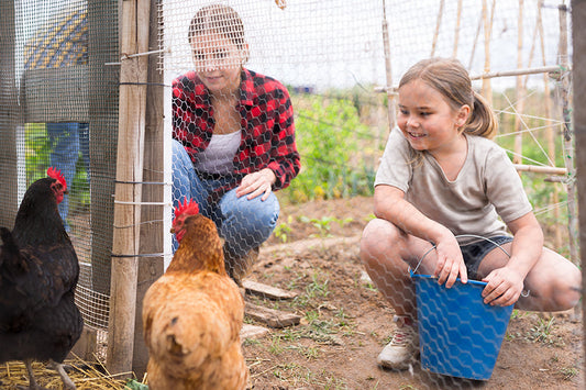 Get Ready for Spring with Homestead Checklist