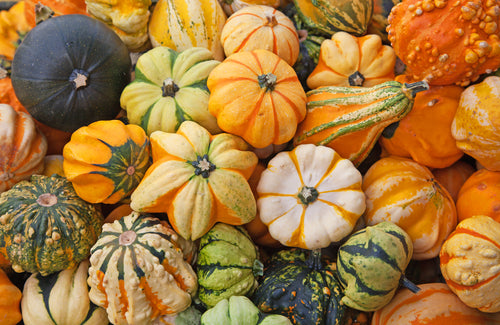 It's Officially Autumn! How Do You Make It Great?