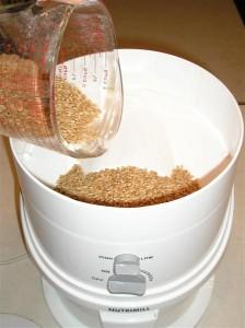 I Heart My NutriMill!