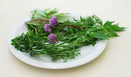 Grow a Kitchen Herb Garden