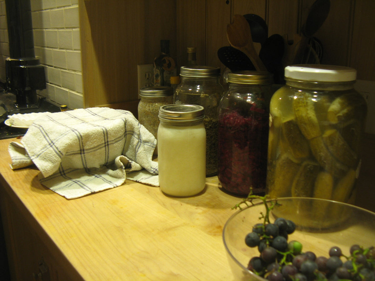 My Kitchen Is Alive!