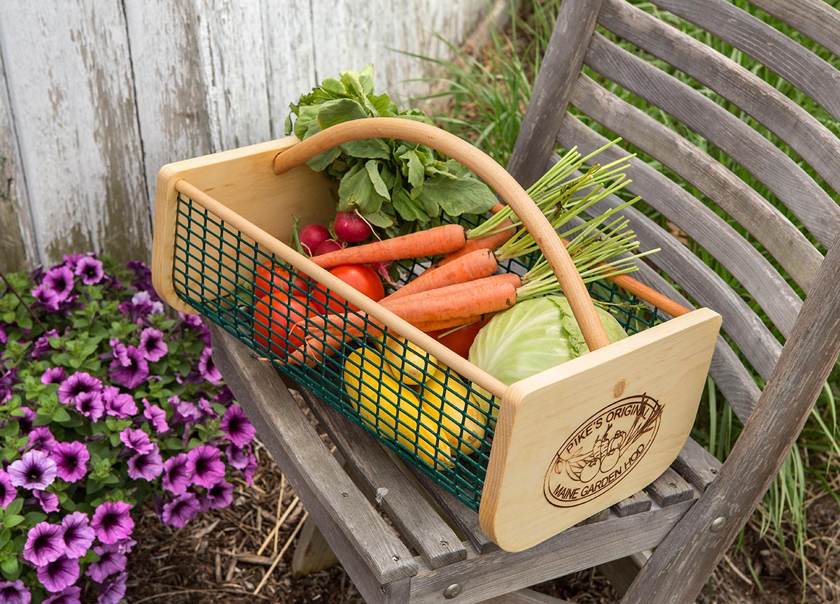 Paper Gardening: How to Grow a Successful Garden Now