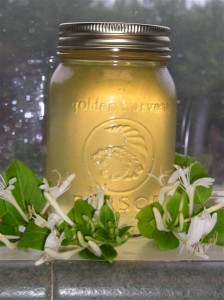 Honeysuckle Jelly