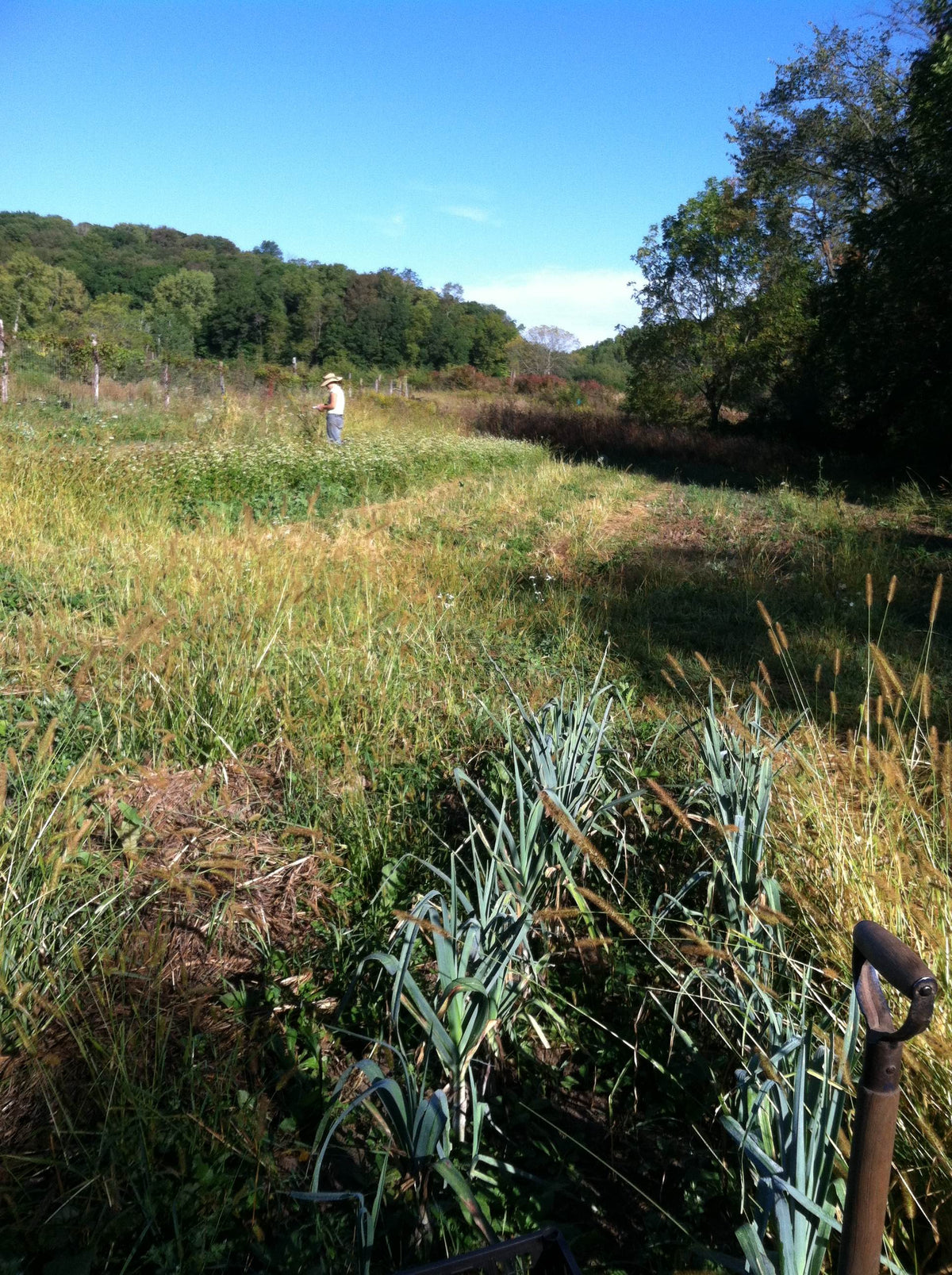 After The Flood: Farmer Hannah Reflects