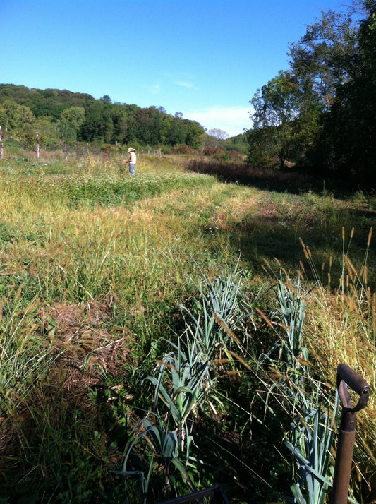 After The Flood: Farmer Hannah Reflects