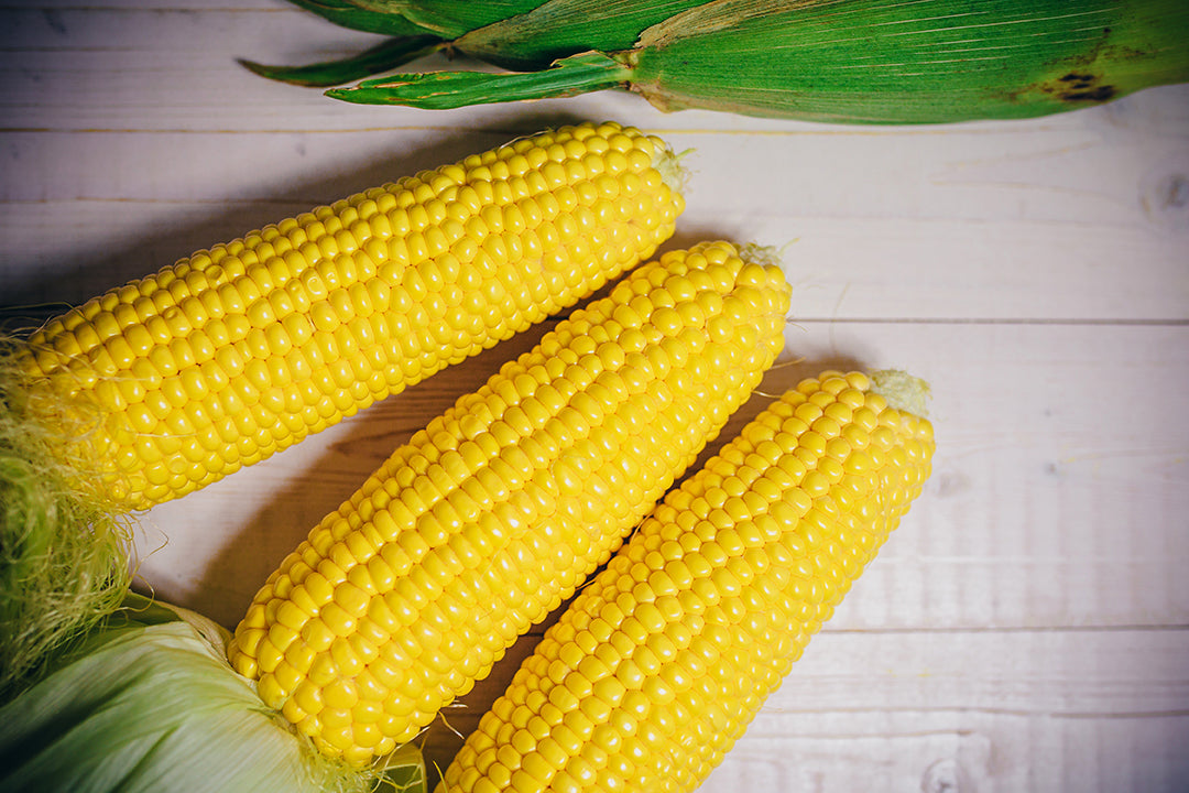 Everything Corn: Top Tools for Cutting, Shelling and Grinding