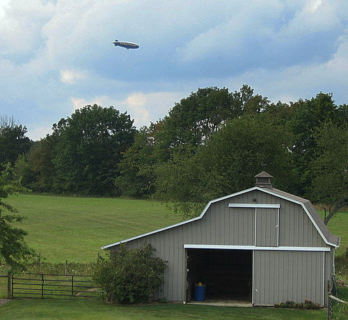 Dairy Cows and Blimps