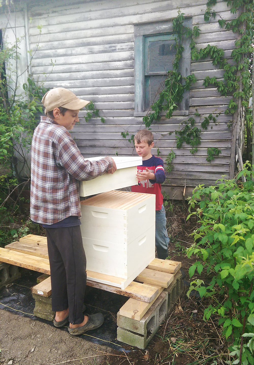 Getting Ready for Our First Beehive