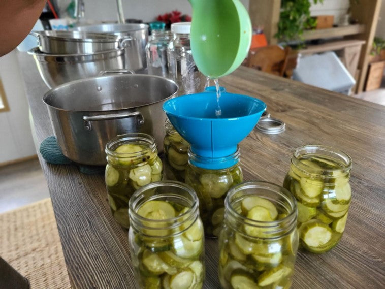 5 Tips for Starting a Homestead