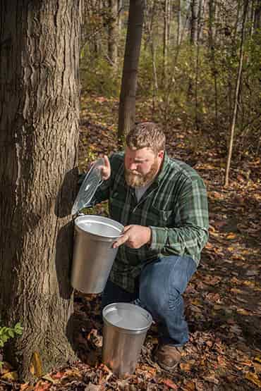 10 Vital Tips for Maple Syrup Rookies