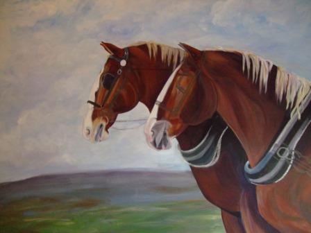 Roy and Rex Get Tacked Up!