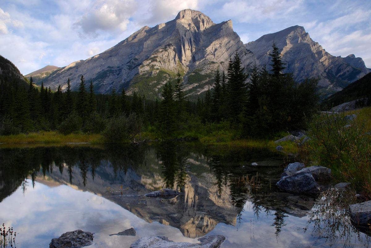 Wilderness Reflections