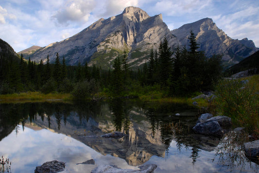Wilderness Reflections