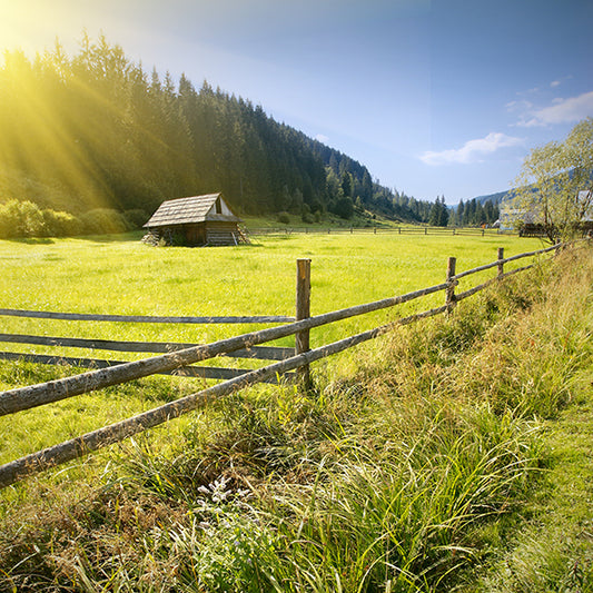 Building Off The Grid? We Want To Hear From You!