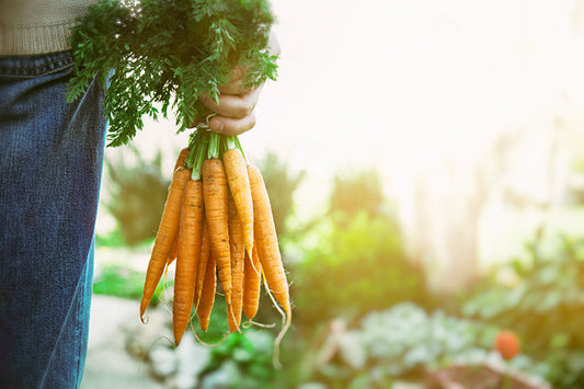 When Gardening Is Not As Easy As It Used To Be