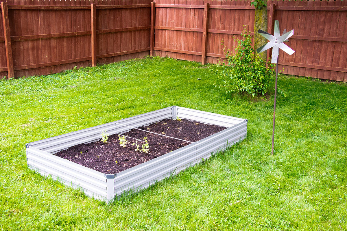 Natural Pest Control Tips for a Healthy Garden (With NO Harsh Chemicals!)