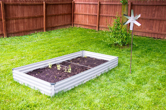 Natural Pest Control Tips for a Healthy Garden (With NO Harsh Chemicals!)