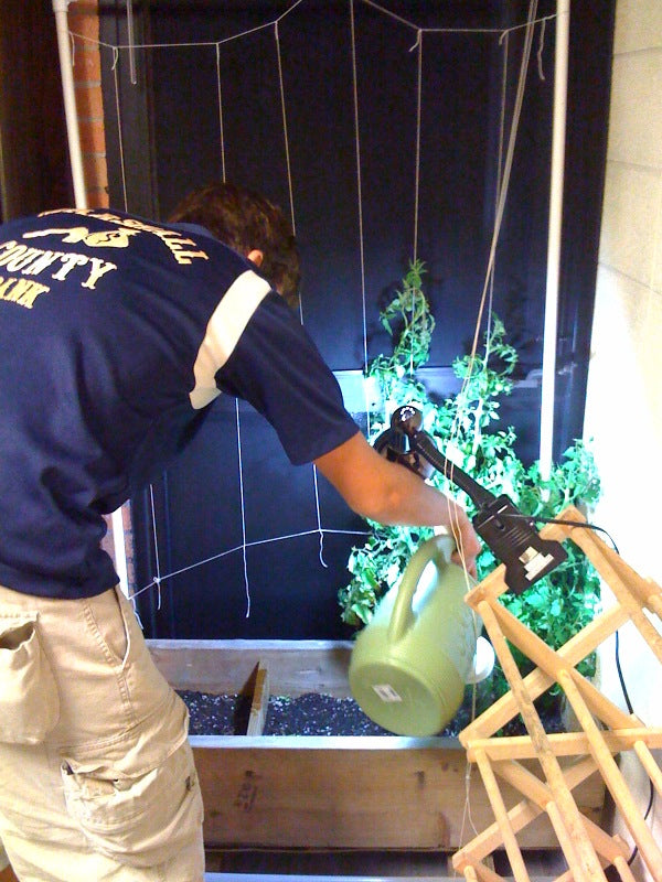 Matt's garden is really growin'...
