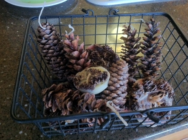 Frugal Firestarters II: Waxed Pinecones