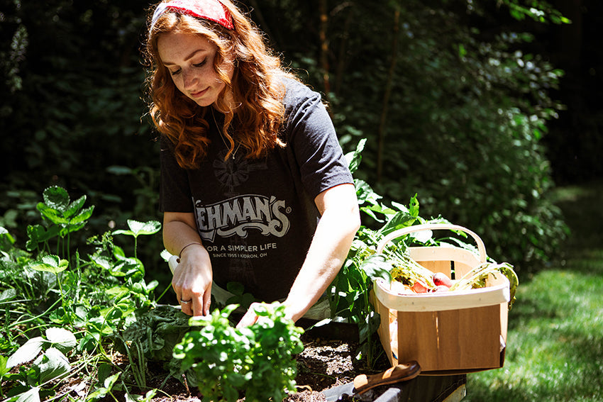 Tips and Tools for a Healthy Garden