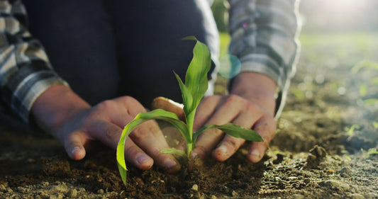 How to Love Your Garden in a Time of Waiting