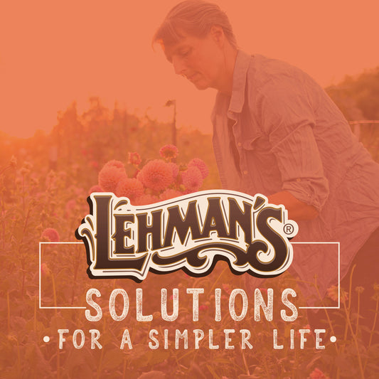 Podcast Episode: Why We Love Pollinators with Karen Geiser