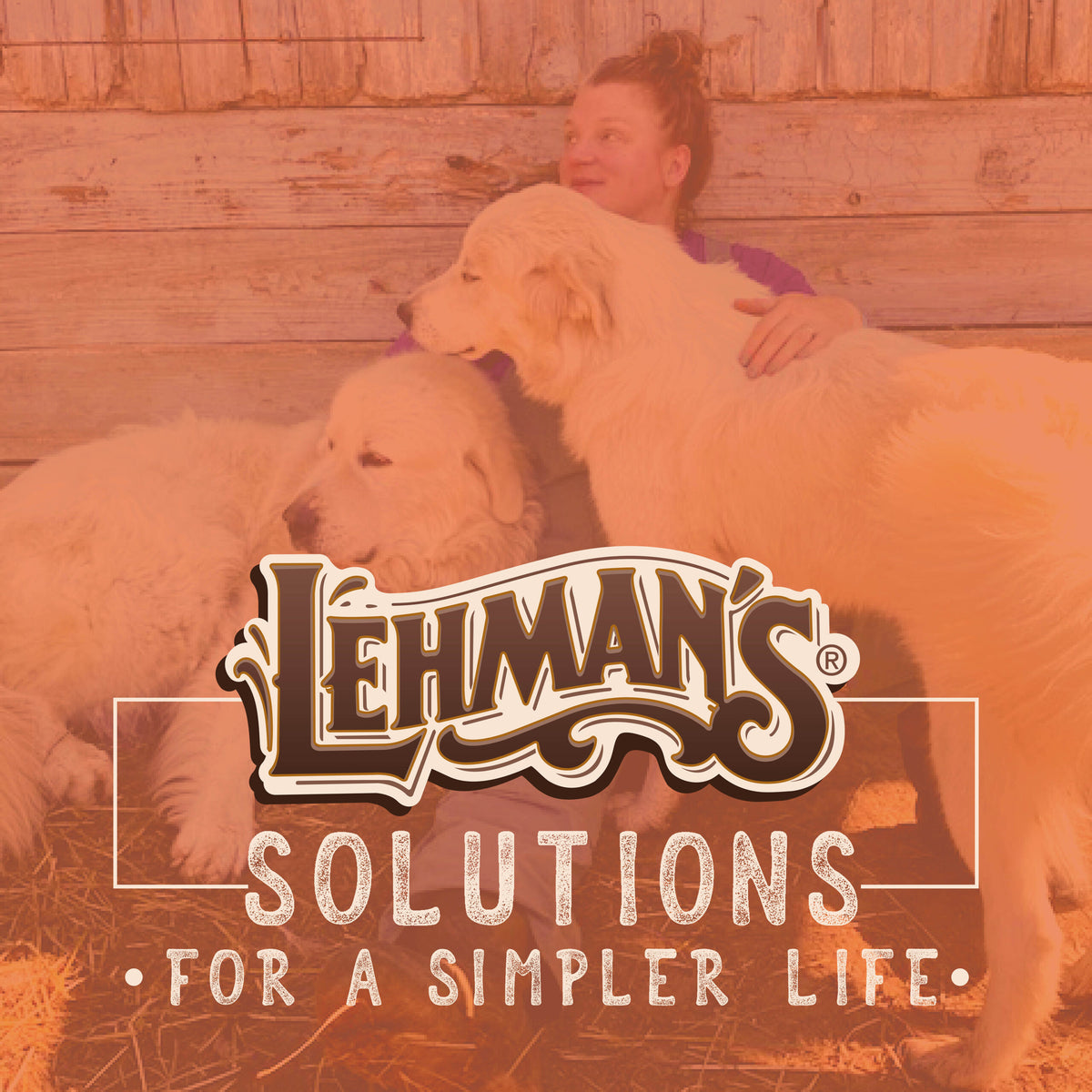 Podcast Episode: Simply Start Homesteading with Sarah Kroger