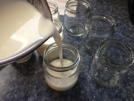 DIY: Foolproof Homemade Yogurt