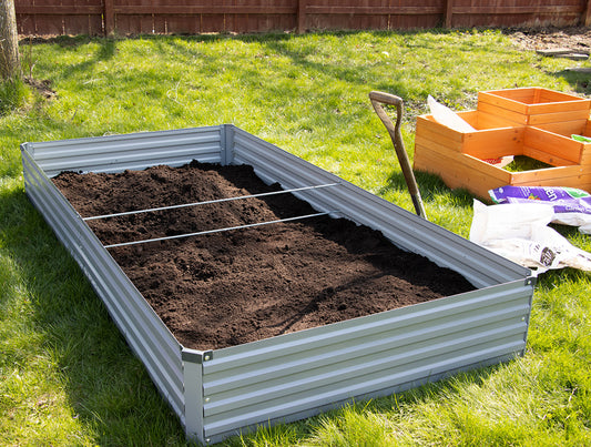 Gardening for Victory: How to Combat Food Inflation