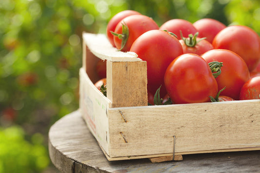 Customer Connections: Growing a Pizza