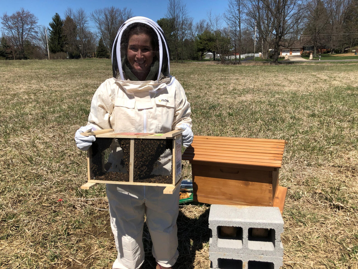 DIY Beekeeping for Beginners: How to Start and Care for Your Hive