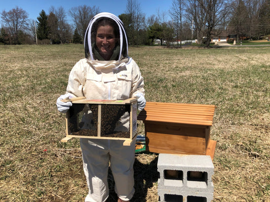 DIY Beekeeping for Beginners: How to Start and Care for Your Hive