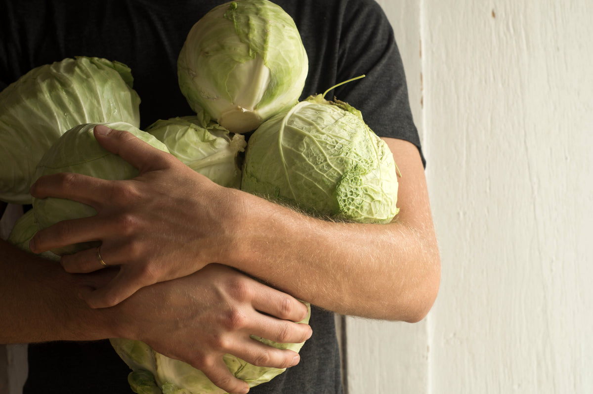 Lessons Learned from My First Sauerkraut Ferment