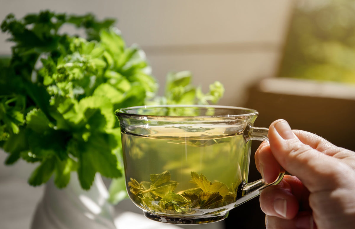 Let’s Talk Tea: Benefits, Brewing Tips & Best Varieties