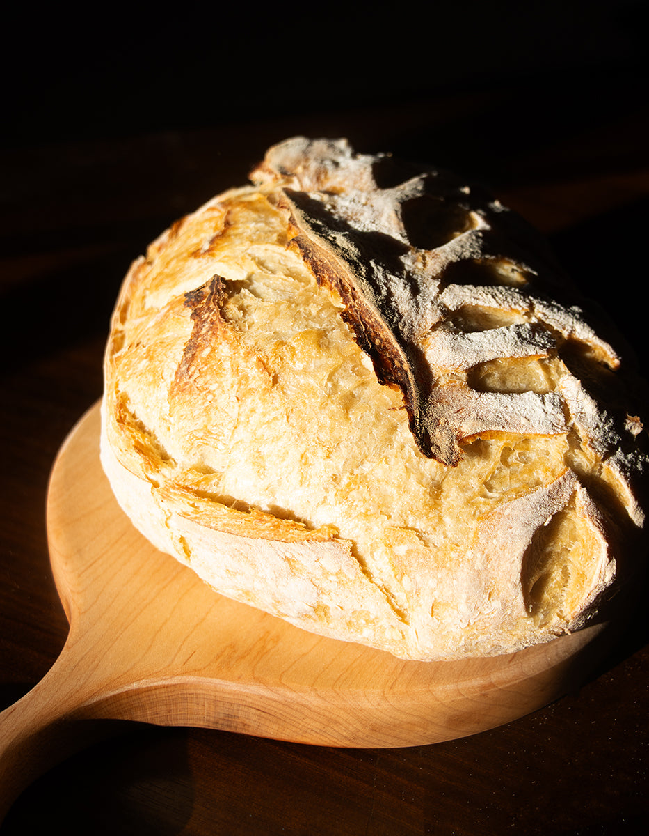 Sourdough Bread for Beginners: What I've Learned