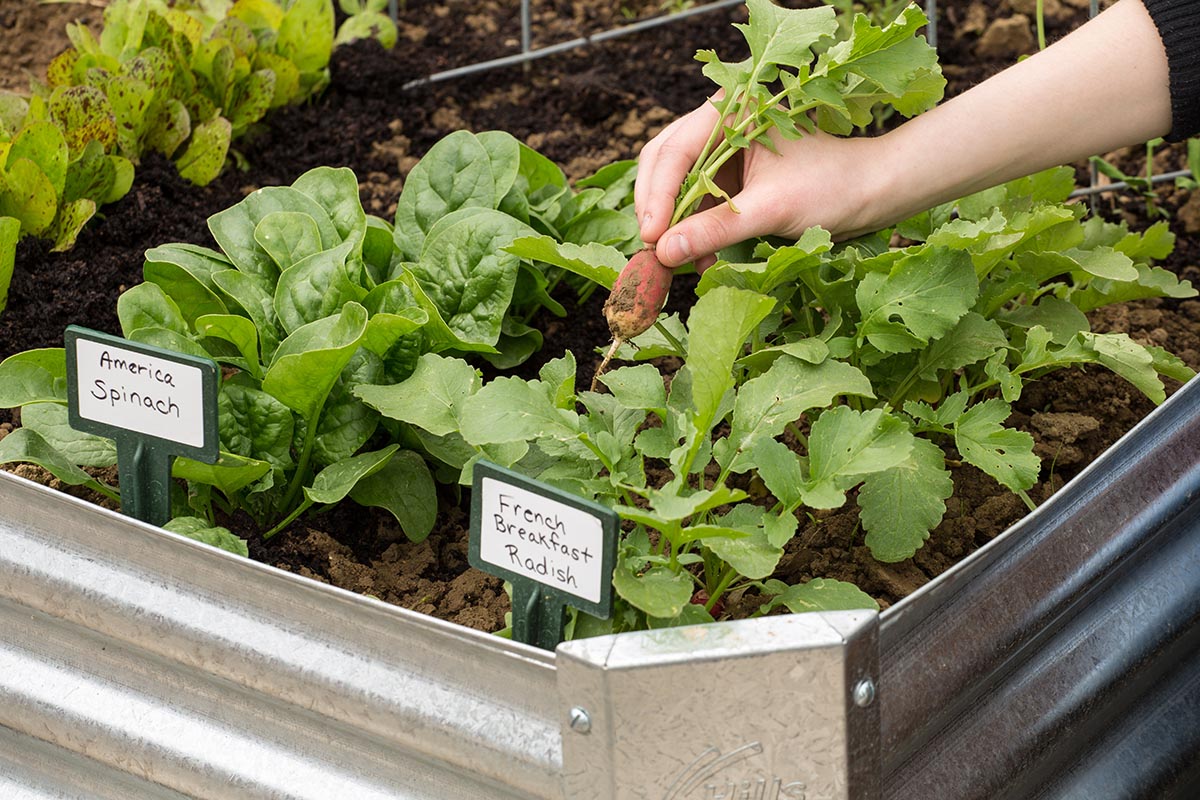 Why We Planted A Garden At Our Store