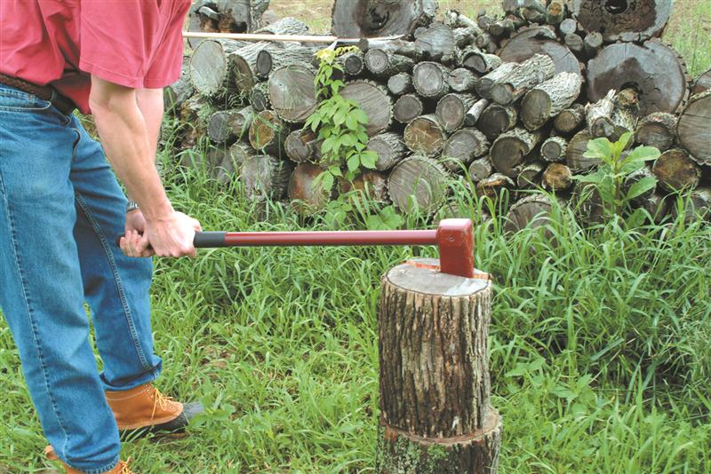 Safety Lessons From The Woodlot