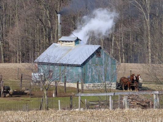 Sap's Running in Amish Country!