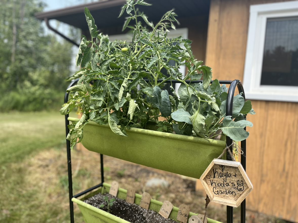 Kayla, Koda and Carrots: Garden in Bloom