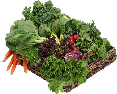 Freezing vegetables - and a bit on other methods