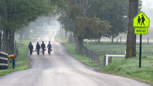 Amish Neighbors: Education in the Community