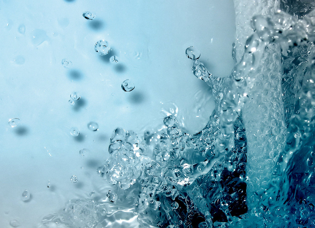 Simple water conservation tips anyone can do!