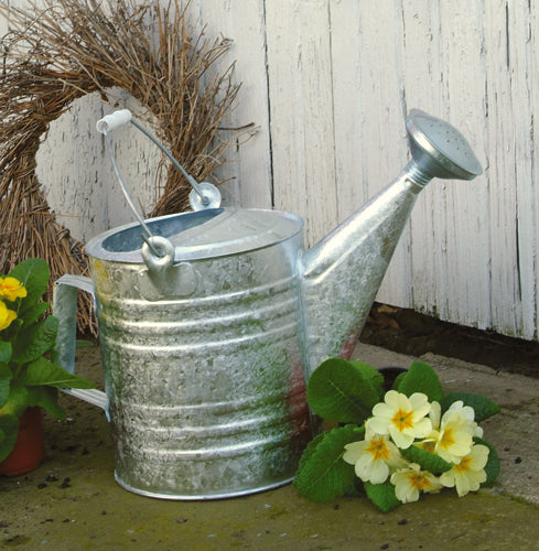 Part 2: Spring Lawn Care Tips