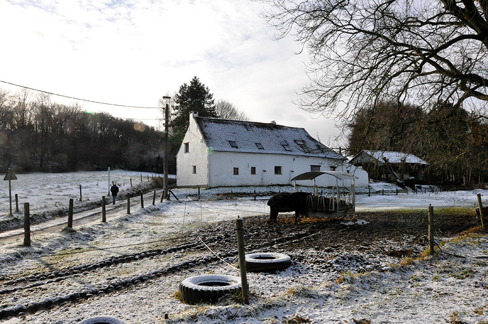How Farmer Hannah Gets Through the Winter