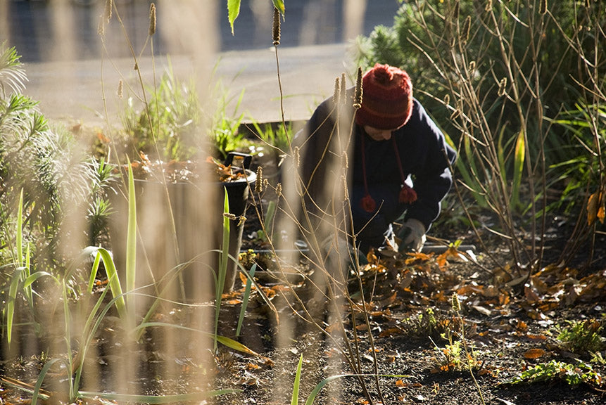 Winter is a Homesteader's Time to Plan