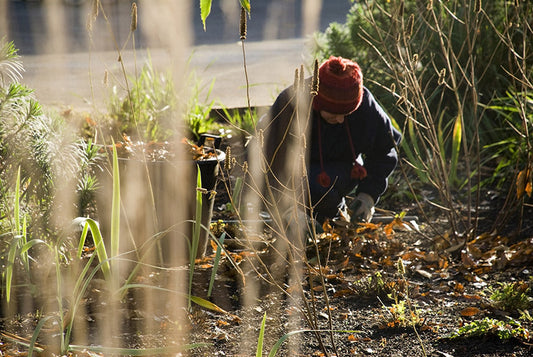 Winter is a Homesteader's Time to Plan