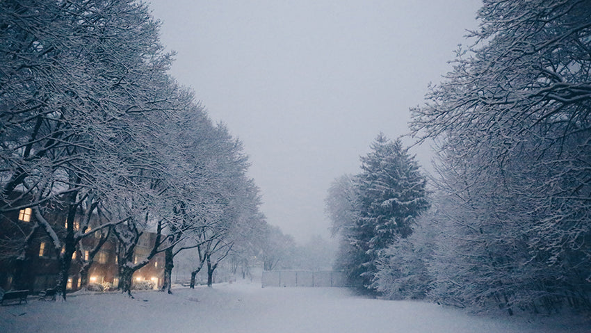 The Long Winter