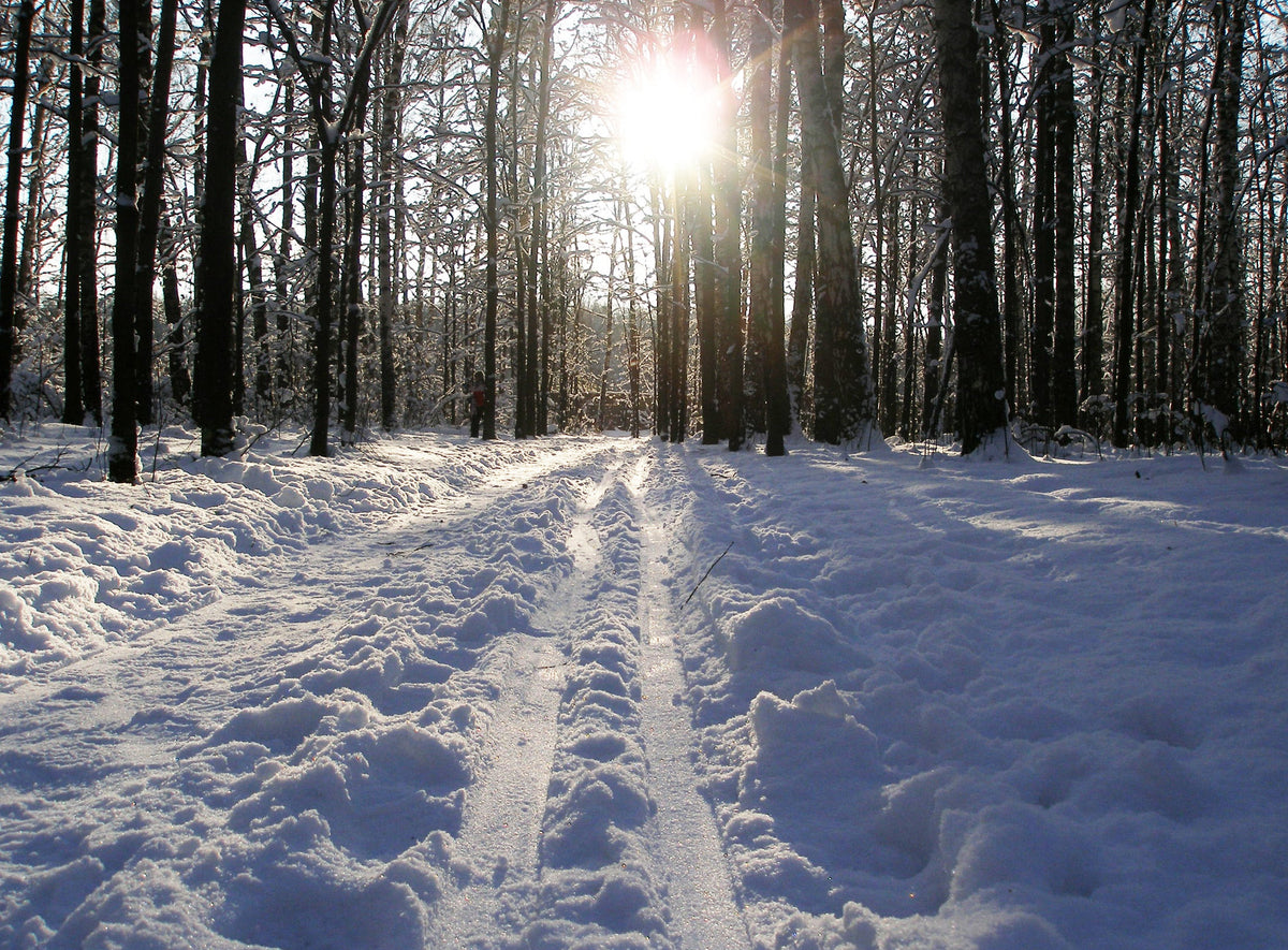 A Season For All Things With a One Track Mind
