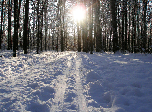 A Season For All Things With a One Track Mind